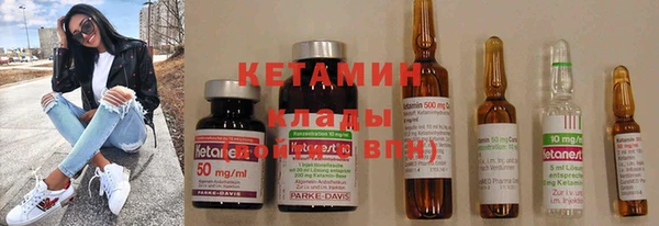 индика Осинники