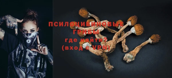 прущий лед Осташков