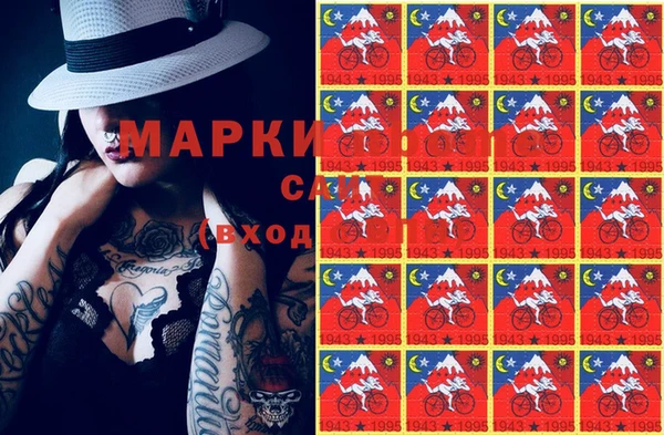 индика Осинники