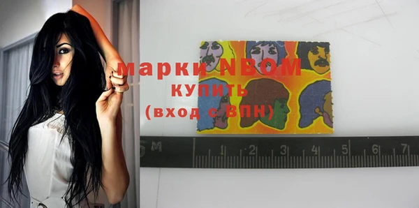 индика Осинники