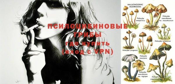 гашик Ленинск