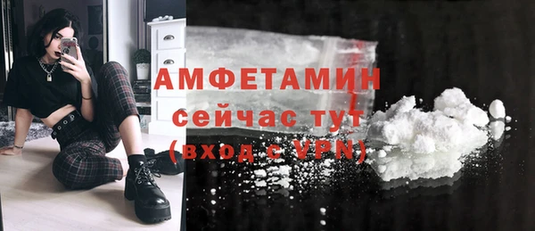 индика Осинники
